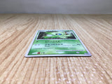 CE7912 Celebi - DP10th Celebi Pokemon Card TCG Japan