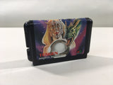 DK4168 Dragon's Revenge BOXED Mega Drive Genesis Japan