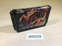 dk6029 Pit-Fighter Mega Drive Genesis Japan