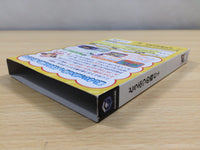 ue7211 Animal Crossing Doubutsu no Mori e-Plus BOXED GameCube Japan