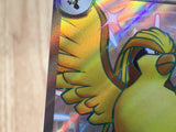 CE7117 Pidgeot ex SSR sv4a 335/190 Pokemon Card TCG Japan