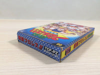 UE4858 Gekitou Pro Wrestling BOXED NES Famicom Japan
