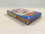 UE4858 Gekitou Pro Wrestling BOXED NES Famicom Japan