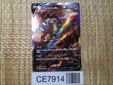 CE7914 Entei V SAR s12a 213/172 Pokemon Card TCG Japan