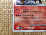 CE8111 Entei - DP10th Entei Pokemon Card TCG Japan