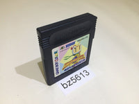 BZ5613 Bomberman Quest GameBoy Game Boy Japan