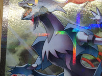 CE6711 White Kyurem R CP2 021/027 Pokemon Card TCG Japan