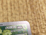CE4566 Pikachu PROMO PROMO 218/SV-P Pokemon Card TCG Japan