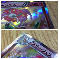CE2918 Florges R XY2 053/080 Pokemon Card TCG Japan