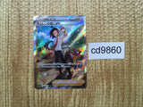 CD9860 Cheren's Care SAR s12a 241/172 Pokemon Card TCG Japan