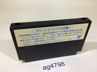 ag4798 Ninja Gaiden Ryukenden 3 NES Famicom Japan