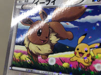 CE7317 Eevee - PROMO 235/BW-P Pokemon Card TCG Japan