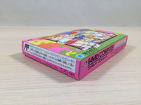 UE4736 Crash 'n' the Boys KUNIO NEKKETSU SHINKIROKU BOXED NES Famicom Japan