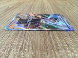 cd9861 Cheren's Care SAR s12a 241/172 Pokemon Card TCG Japan