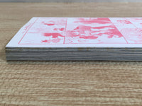 AAA1163 Pandora Hearts Vol.18 Japanese Manga