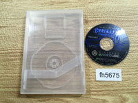 FH5675 Wave Race Blue Storm Disc GameCube Japan