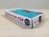 Down The World BOXED SNES Super Famicom Japan - UE5249