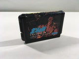 DK4171 Fist of the North Star Hokuto Ken Densetsu BOXED Mega Drive Genesis Japan