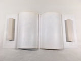 AAA1774 Oh My Goddess! Vol.8 Japanese Manga