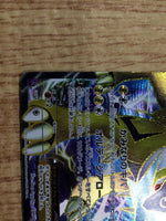 CE7717 Raikou EX SR BW4 071/069 Pokemon Card TCG Japan