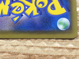 CD3905 Pikachu V RR S4 030/100 Pokemon Card TCG Japan