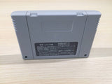 Down The World BOXED SNES Super Famicom Japan - UE5249