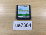 UE7384 Animal Crossing Wild World Nintendo DS Japan