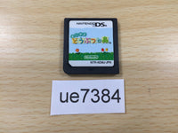 UE7384 Animal Crossing Wild World Nintendo DS Japan
