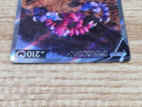 CE6525 Drapion V SAR s12a 227/172 Pokemon Card TCG Japan