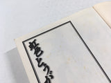 AAA1616 Nijiiro Togarashi Vol.6 Japanese Manga