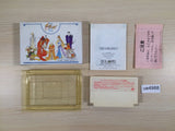 ue4988 Final Fantasy 3 BOXED NES Famicom Japan
