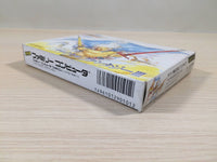 ue4988 Final Fantasy 3 BOXED NES Famicom Japan