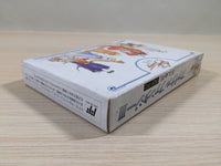 ue4988 Final Fantasy 3 BOXED NES Famicom Japan