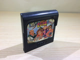 DK6904 Taisen Mahjong Hao Pai Sega Game Gear Japan