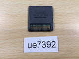 UE7392 There Park DS Nintendo DS Japan