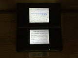 LG2167 Plz Read Item Condi Nintendo DS Graphite Black Console Japan