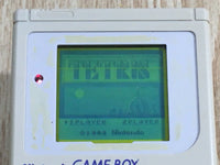 LG2539 Plz Read Item Condi GameBoy Original DMG-01 Game Boy Console Japan