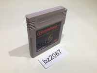 BZ2087 Wizardry Gaiden II 2 GameBoy Game Boy Japan