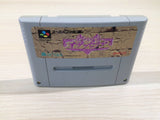 Shinseiki Odysselya BOXED SNES Super Famicom Japan - UE5253