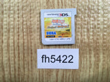 Hatsune Miku and Future Stars Project mirai Nintendo 3DS Japan - FH5422