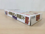 Dai Bakushou Jinsei Gekijou Ooedo Nikki BOXED SNES Super Famicom Japan - UE1066
