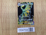 CE4733 Ice Rider Calyrex VMAX UR s8b 278/184 Pokemon Card TCG Japan