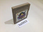 BZ5653 Cavenoire GameBoy Game Boy Japan