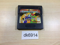 DK6914 Eternal Legend Eien no Densetsu Sega Game Gear Japan