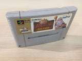 Dai Bakushou Jinsei Gekijou Ooedo Nikki BOXED SNES Super Famicom Japan - UE1066