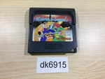 dk6915 Eternal Legend Eien no Densetsu Sega Game Gear Japan