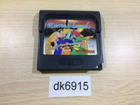 DK6915 Eternal Legend Eien no Densetsu Sega Game Gear Japan