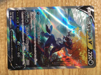 ce2058 Hisuian SamurottV SAR s12a 229/172 Pokemon Card TCG Japan