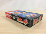 Art Of Fighting BOXED SNES Super Famicom Japan - UD9031
