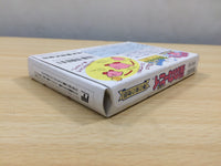 UE8262 Kirby Kirby's Adventure BOXED NES Famicom Japan